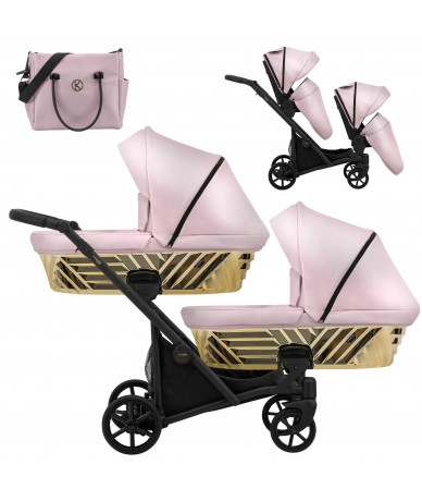 New Stroller for Twins  Duo...